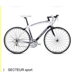 スペシャライズド　SECTEUR sport 2012