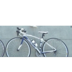 スペシャライズド　SECTEUR sport 2012