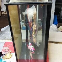 節句の飾り。の画像