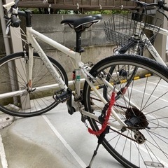 hands様受け渡し予定　ルイガノ　クロスバイク