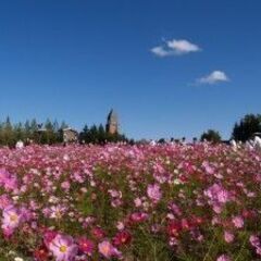 滝野すずらん公園の写真販売スタッフ短期募集！の画像
