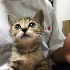 里親様決定❤️ありがとうございました