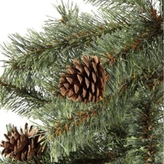 クリスマスツリー
