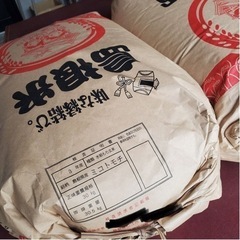  【完売】ミコトモチ 玄米　30kg 令和4年