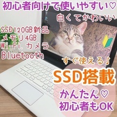 大人気SONY VAIOノートPC(〃ω〃)かわいいですよ♪