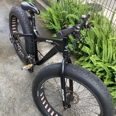 CANOVER GOLIATH ファットバイク26インチの画像