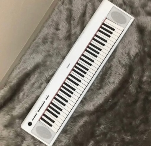 ヤマハ  Yamaha np-12