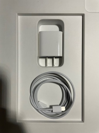 128GB 11インチ iPad Pro (第三世代) Wi-Fi