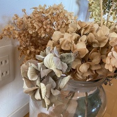 ドライフラワーの画像