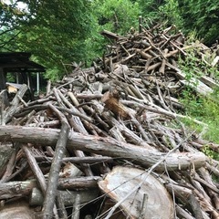 薪作りしてくれる方 同量の薪材持ち帰れます