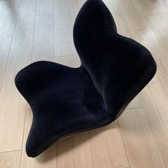 【半額・手渡し】Style PREMIUM デラックス：