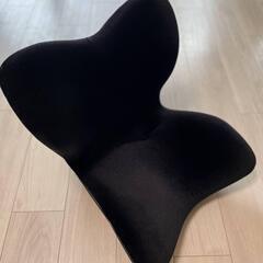 【半額・手渡し】Style PREMIUM デラックス：