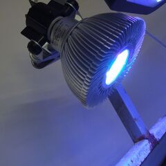 ボルクスジャパン グラッシーレディオ RS 073 RUV