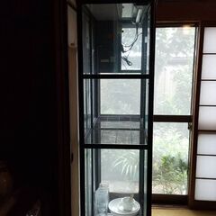 室内用温室 の画像
