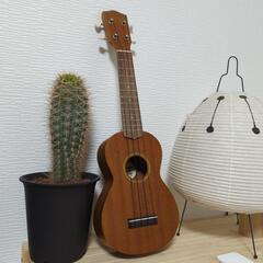 ウクレレ　ソプラノ　