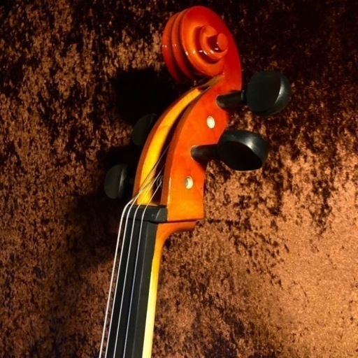 チェロ　Altezza アルテッツァ　No.45 4/4 他分数　 新品①