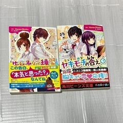 HoneyWorks 恋愛小説 2冊まとめ売り