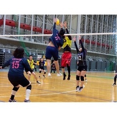 🌵社会人バレーボール🏐cronyメンバー募集🌵 - メンバー募集