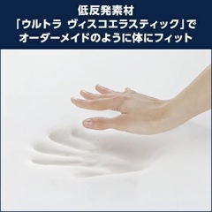 トゥルースリーパーダブル & ごろ寝マットの画像
