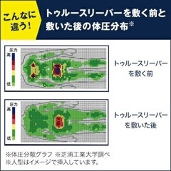 トゥルースリーパーダブル & ごろ寝マットの画像