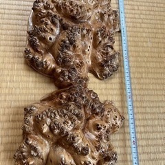 こぶオブジェの画像