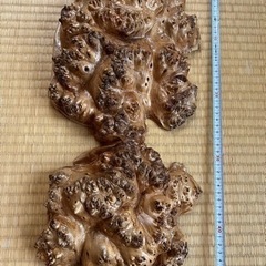 こぶオブジェの画像