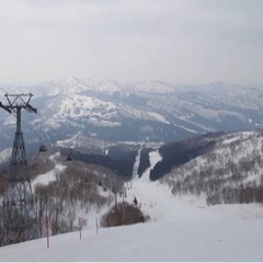 一緒に山、川、ボード行く女の子友達募集😆