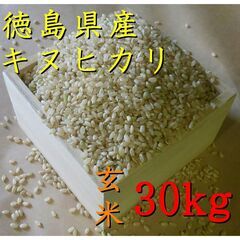 【譲渡済】新米　令和4年産　徳島産　キヌヒカリ　玄米　30kg（...