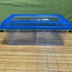 飼育ケース浅型②★仕切り付き★多種飼い★コーナン