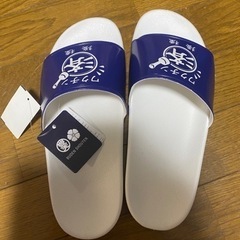 ワクチン スリッパ サンダル LLサイズ
