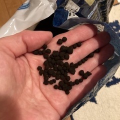 水槽セットの画像