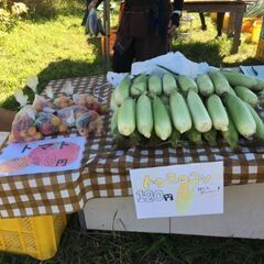 9/11野菜直売会 ばんけいスキー場より車で5分トンネル抜けてすぐ左