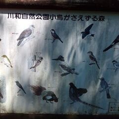 一緒に勉強しませんか？