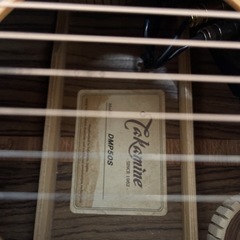 Takamine DMP50S エレアコ　ギター（ハードケース付き）の画像