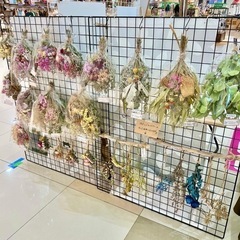 ドライフラワー販売中💐