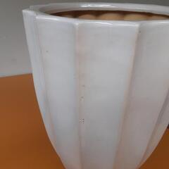植木鉢　陶器　白　の画像