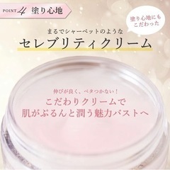モテソルベ　20g 1個の画像