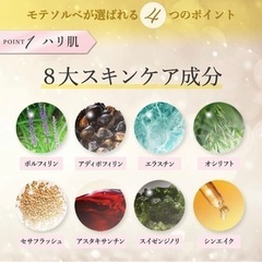 モテソルベ　20g 1個の画像
