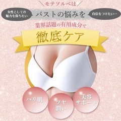 モテソルベ　20g 1個の画像