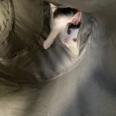 可愛い天使♪癒し系女の子♪