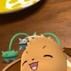 ポケモンGO活！！