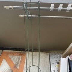 無料　植物用支柱　引取限定