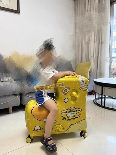 子供が乗れる　スーツケース