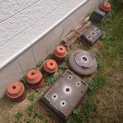 無料！植木鉢 皐月等の画像