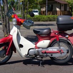 リトルカブ　50㏄　1.6万キロ