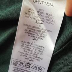 セクシーなレディースTシャツの画像