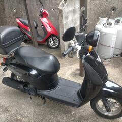 ホンダ  TODAY  50の画像