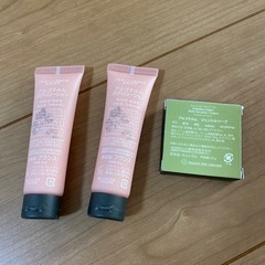 アルゴテルム　の画像