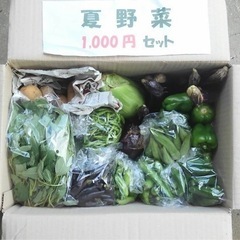 土日限定　野菜セット　1000円の画像