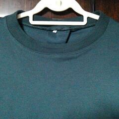 ❌(W)未使用 ３Lサイズ カットソーの画像